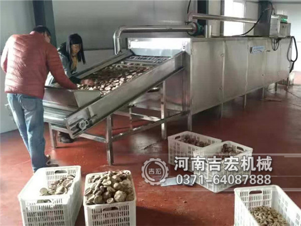 香菇烘干機(jī)_小型蘑菇烘干機(jī)價(jià)格_大型野生蘑菇烘干機(jī)廠(chǎng)家