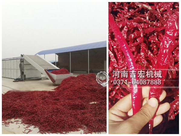 辣椒烘干機_小型辣椒烘干機價格_大型辣椒烘干設備廠家