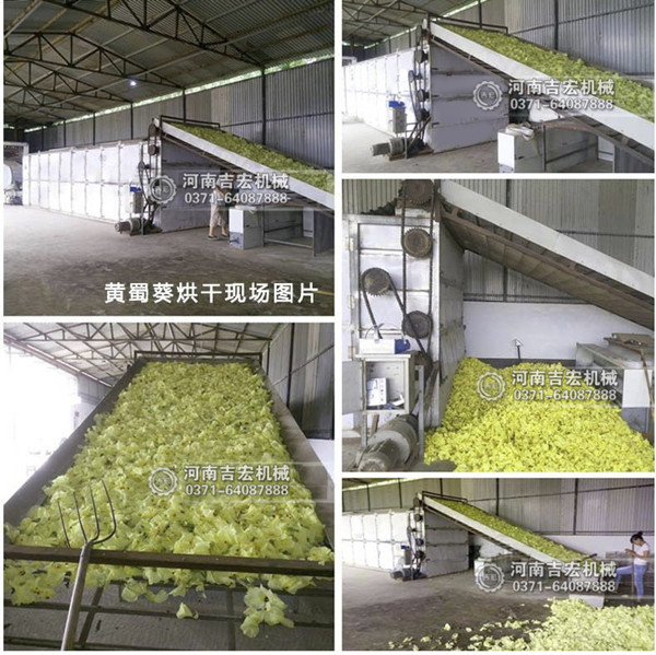 黃蜀葵烘干機(jī)_小型黃蜀葵烘干機(jī)價(jià)格_304不銹鋼黃蜀葵干燥機(jī)廠(chǎng)家